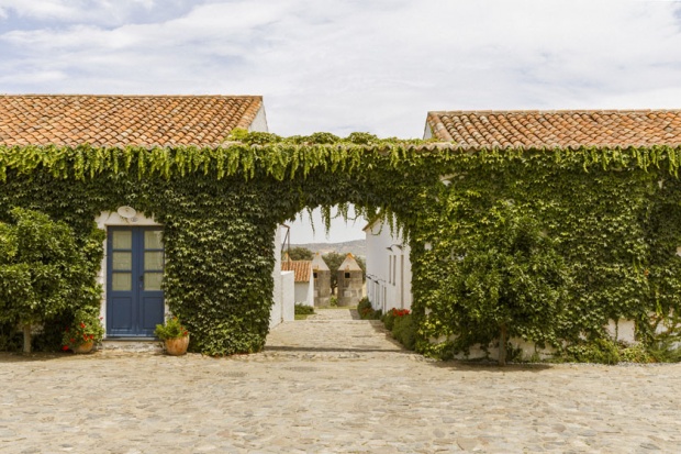 Farm Room